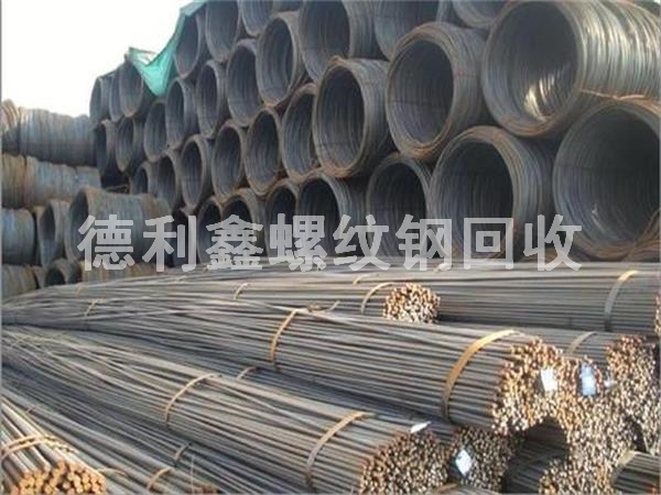 ���������ݼy䓻������\�Ž��I���߃r����