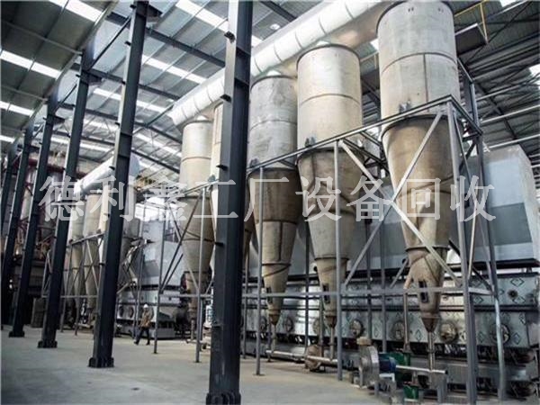 �������S�Cе�O����գ��������S���w���w����